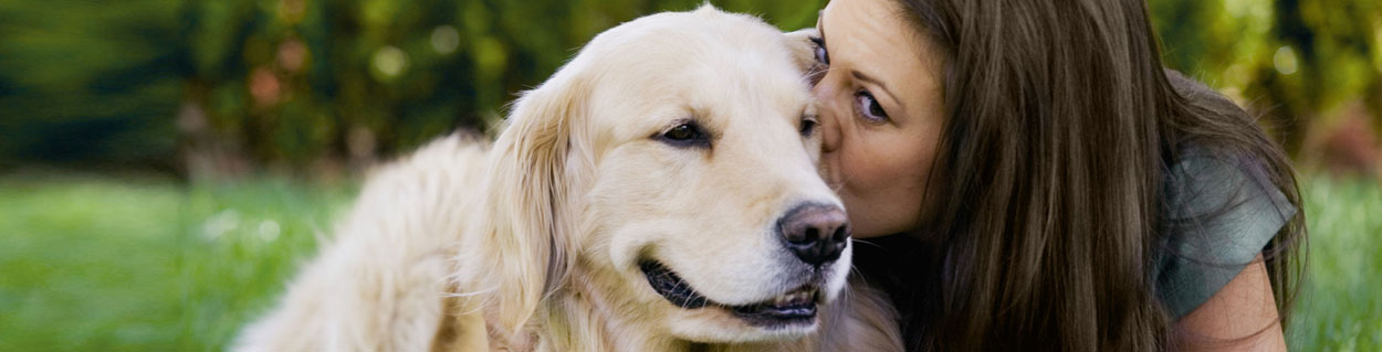 dog014_1250x319.jpg